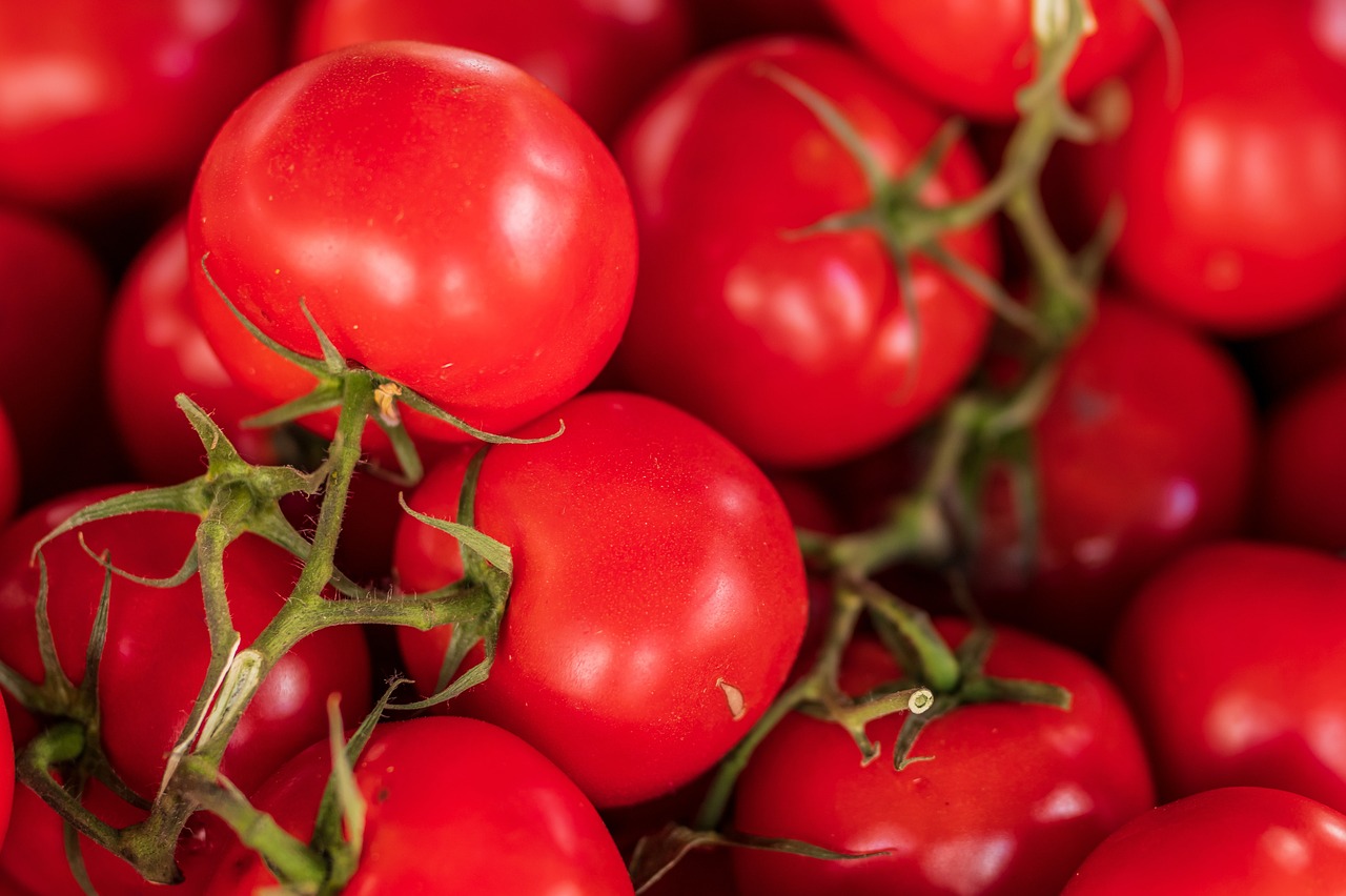 Tomato/Tamatar
