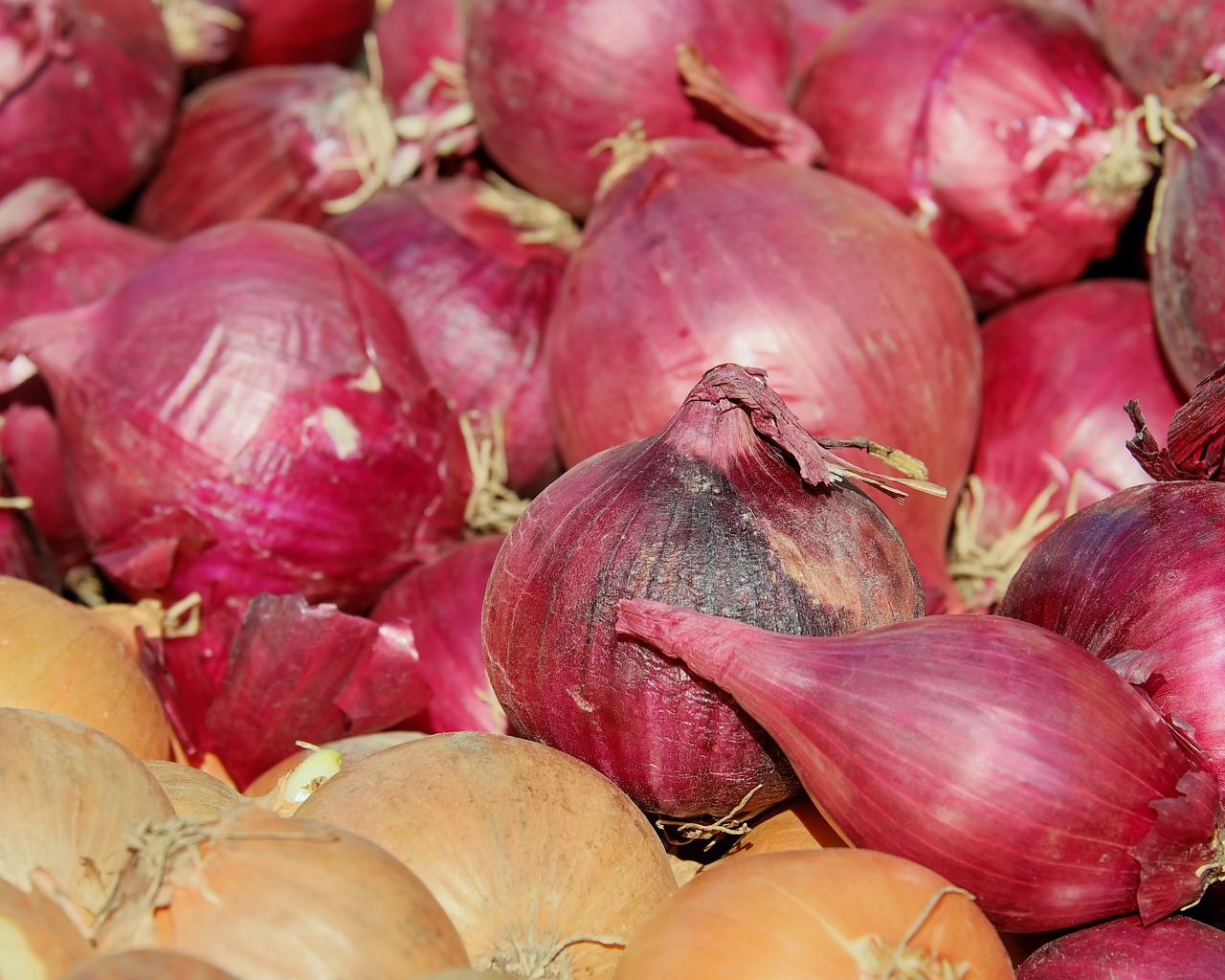 Onion/Pyaaj