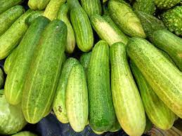 Cucumber/Kheera