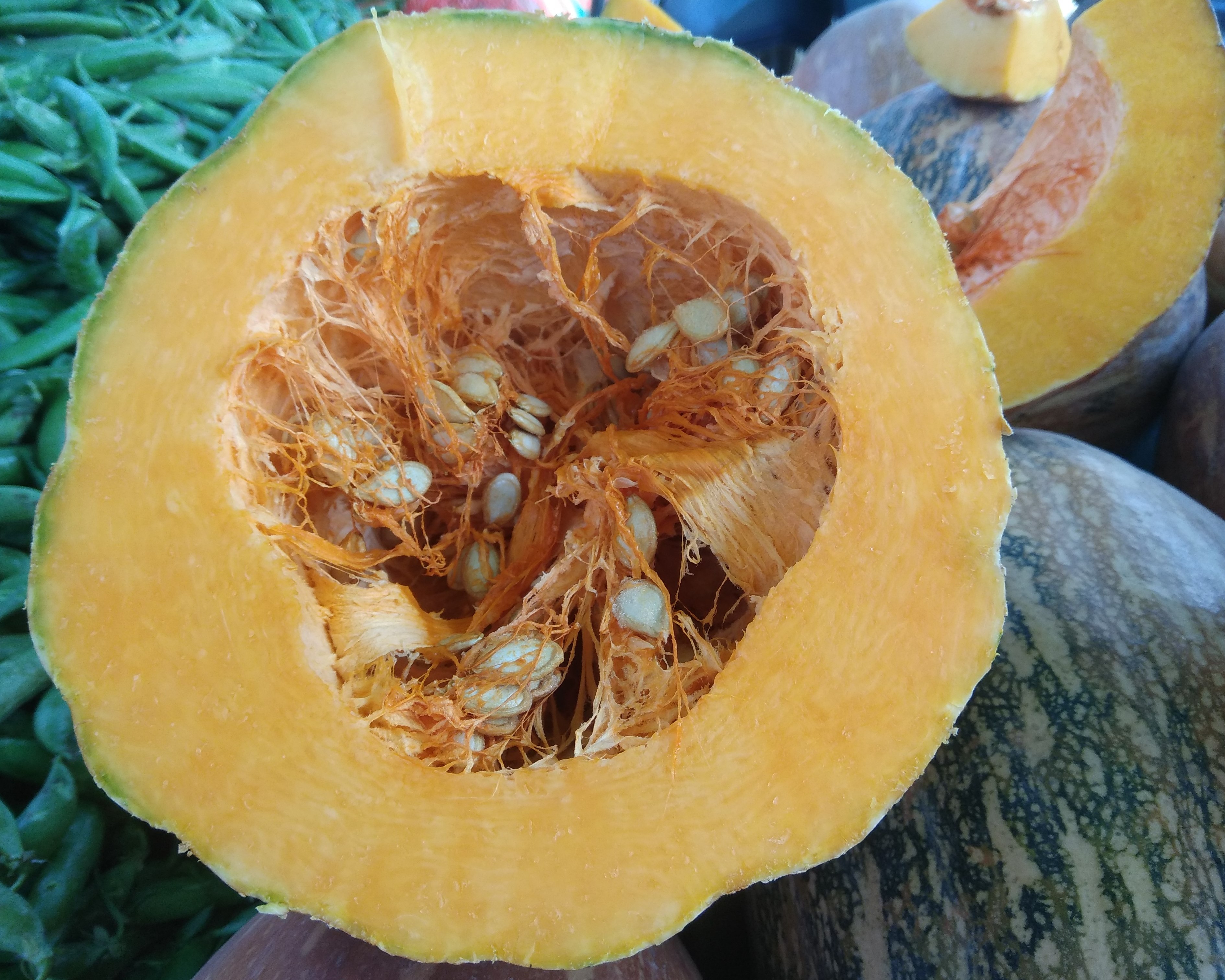 Pumpkin/Kowra