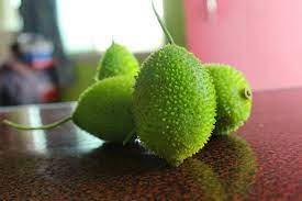 Spiny Gourd/Kheksa
