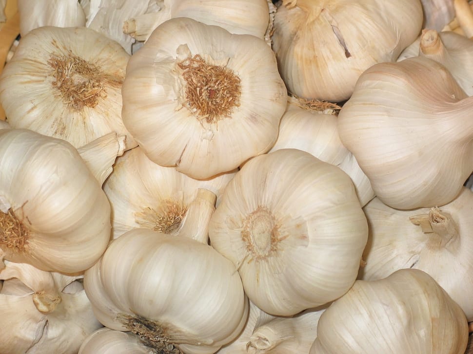 Garlic/Lasan