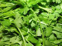 Coriander Leaves/Dhaniya Patta